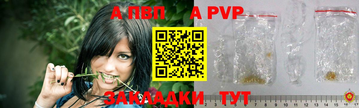 A PVP СК КРИС Северодвинск