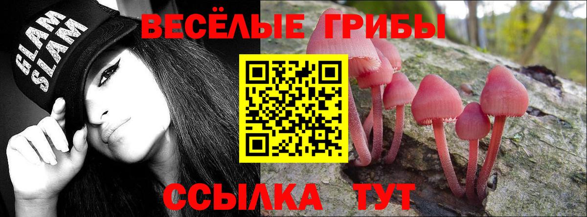Псилоцибиновые грибы Magic Shrooms  Вход с VPN  Северодвинск 